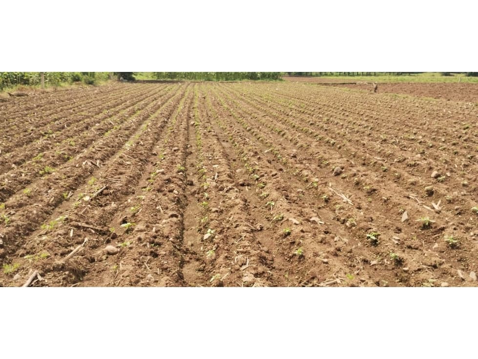 TERRENO EN PIPIOLTEPEC,VALLE DE BRAVO — foto 5