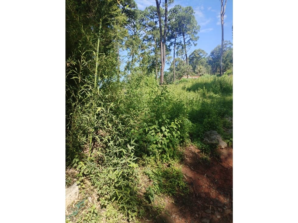 TERRENO EN VENTA | MONTE ALTO | VALLE DE BRAVO — foto 3