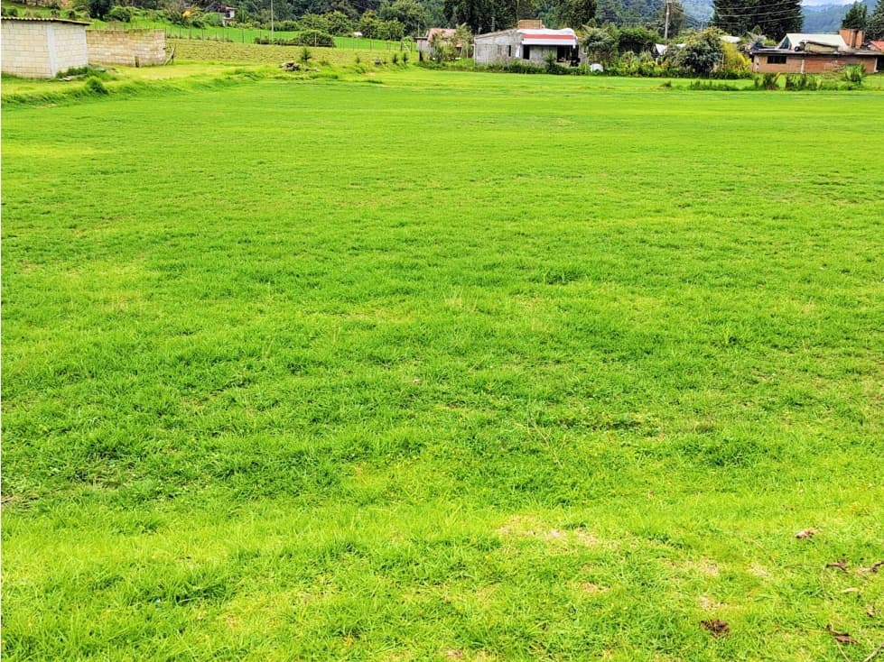 TERRENO EN VENTA /SAUCOS /VALLE DE BRAVO — foto 3