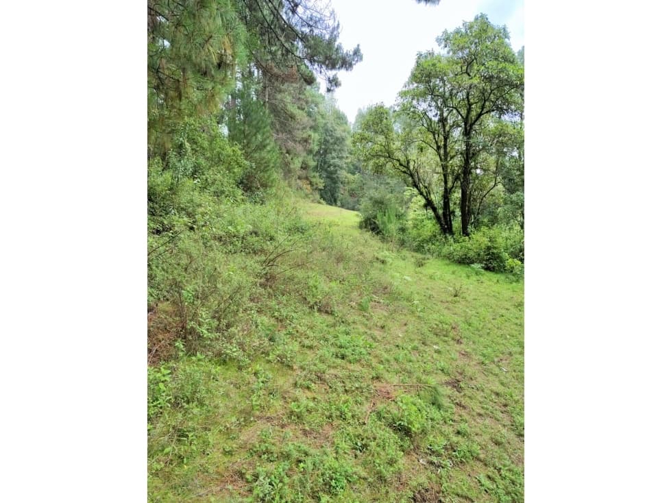 VENTA /TERRENO /SAUCOS /VALLE DE BRAVO — foto 6