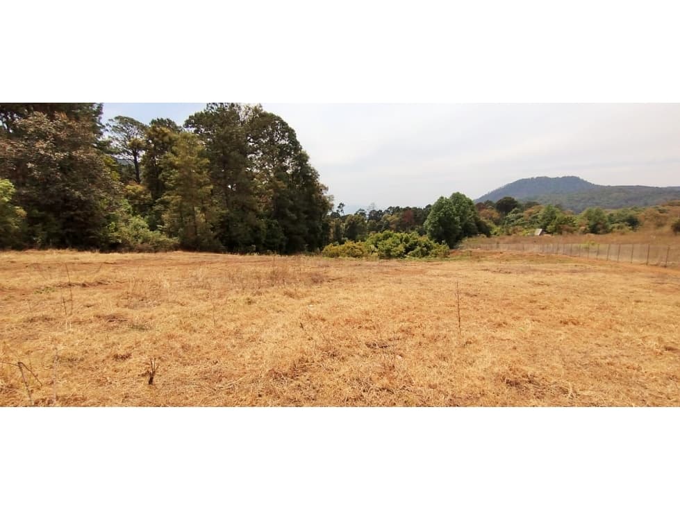 VENTA TERRENO /EL MANZANO/ CERRO GORDO — foto 3