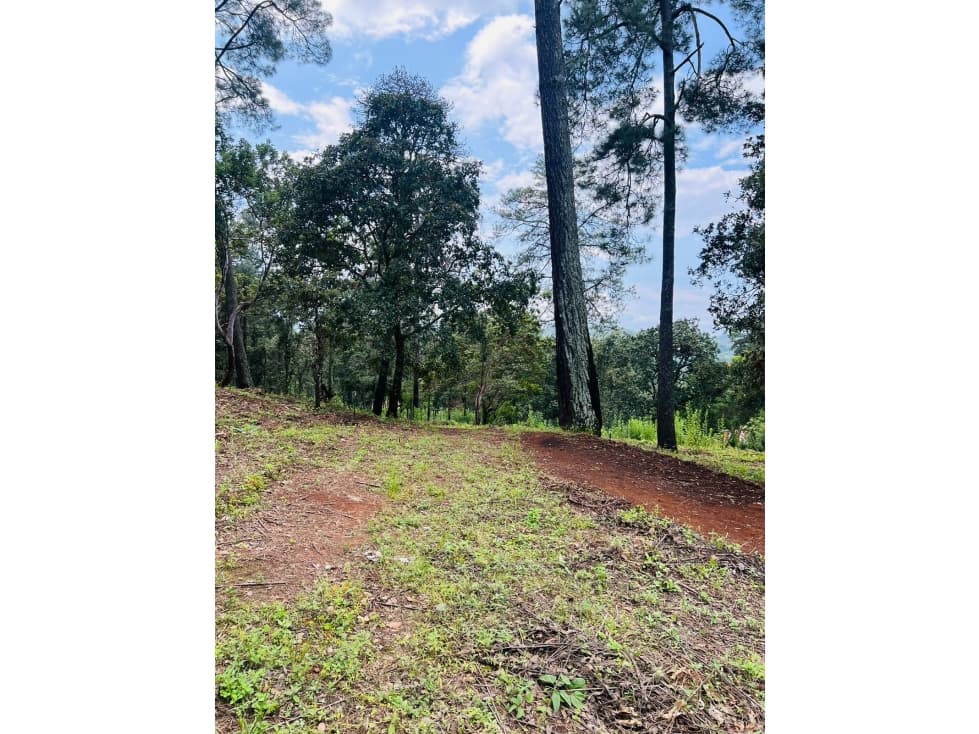 INCREIBLE TERRENO EN SAN GABRIEL IXTLA — foto 1