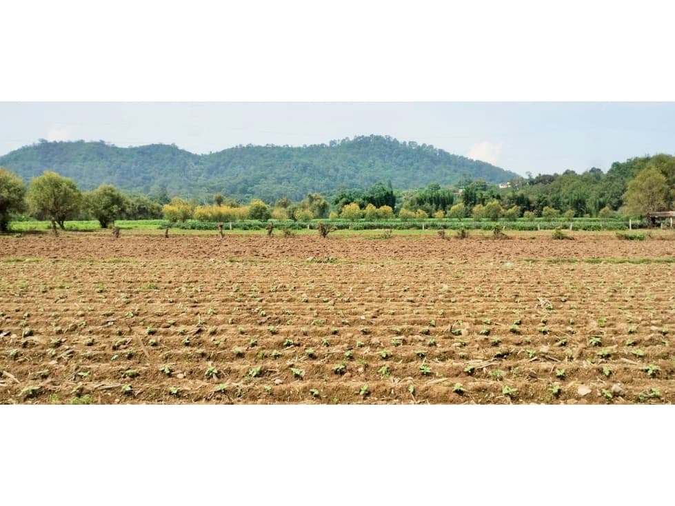 TERRENO EN PIPIOLTEPEC,VALLE DE BRAVO — foto 6