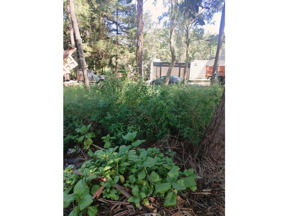 TERRENO EN VENTA | MONTE ALTO — foto 3