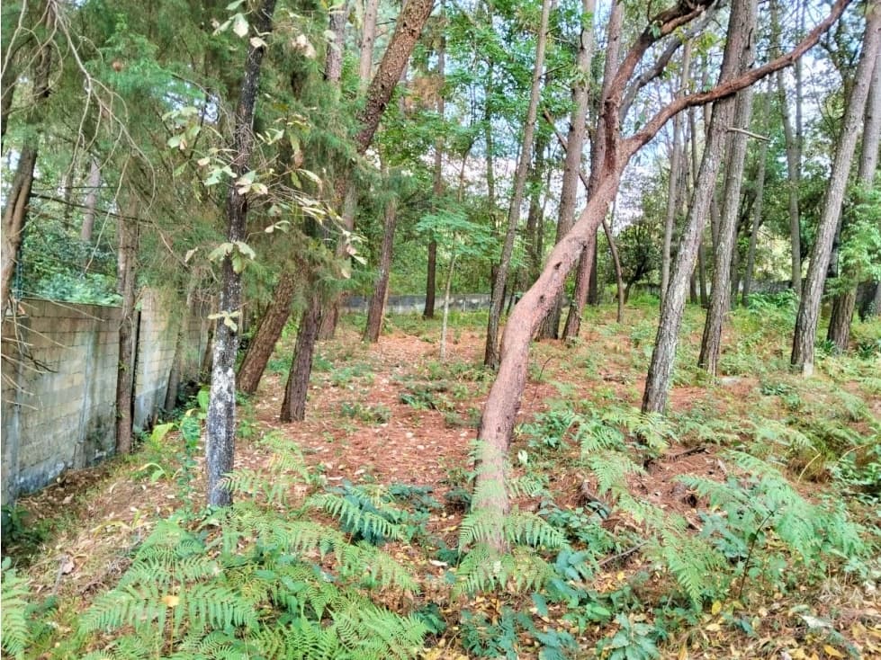 VENTA TERRENO/ AVANDARO — foto 2