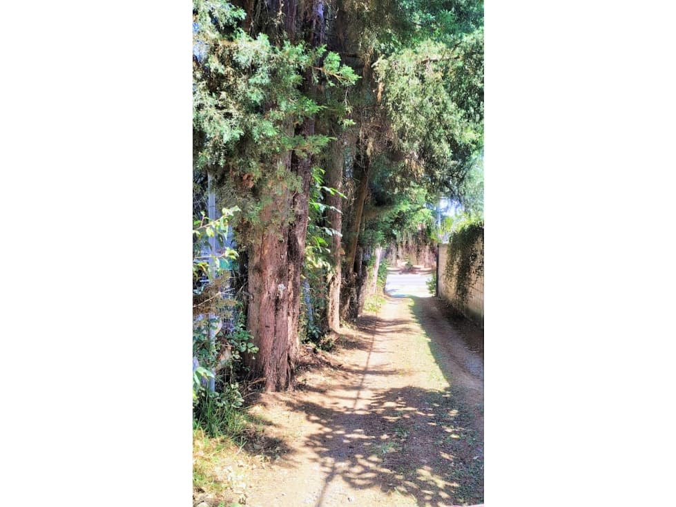 LOTE/TERRENO /ACATITLAN — foto 5