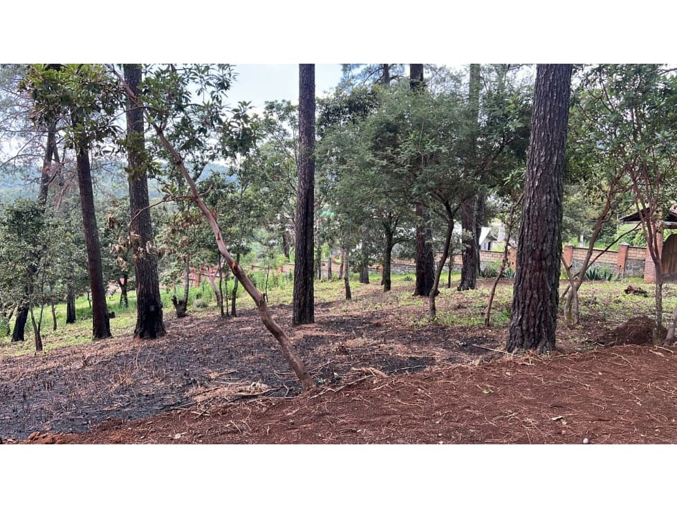 INCREIBLE TERRENO EN SAN GABRIEL IXTLA — foto 4