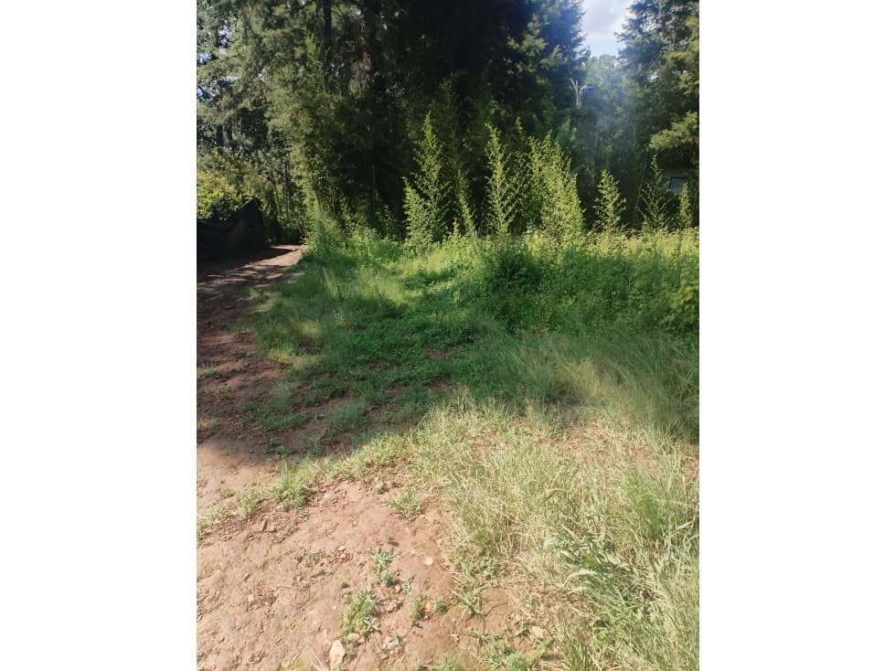 TERRENO EN VENTA | MONTE ALTO | VALLE DE BRAVO — foto 5