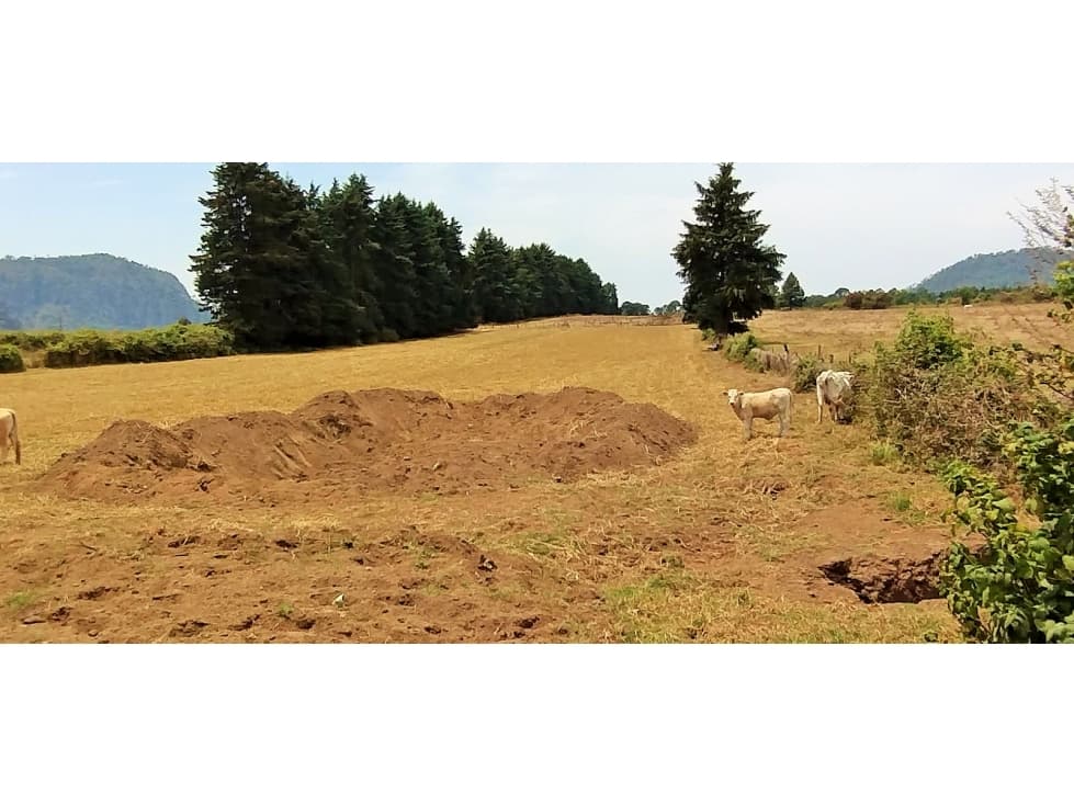 TERRENO EN VENTA / EL MANZANO /CERRO GORDO — foto 5