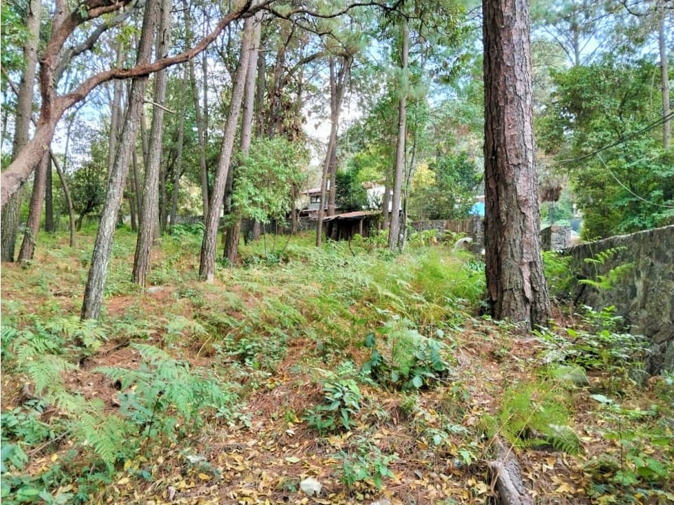 VENTA TERRENO/ AVANDARO — foto 4
