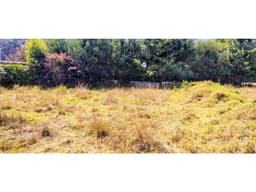 LOTE/TERRENO /ACATITLAN