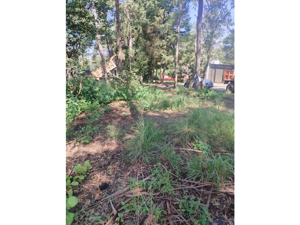 TERRENO EN VENTA | MONTE ALTO — foto 1