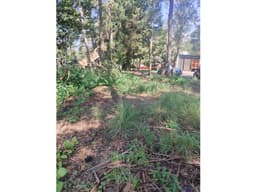 TERRENO EN VENTA | MONTE ALTO