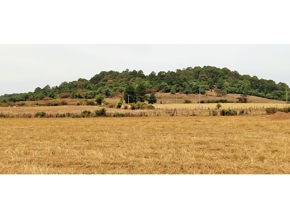 TERRENO EN VENTA / EL MANZANO /CERRO GORDO — foto 6