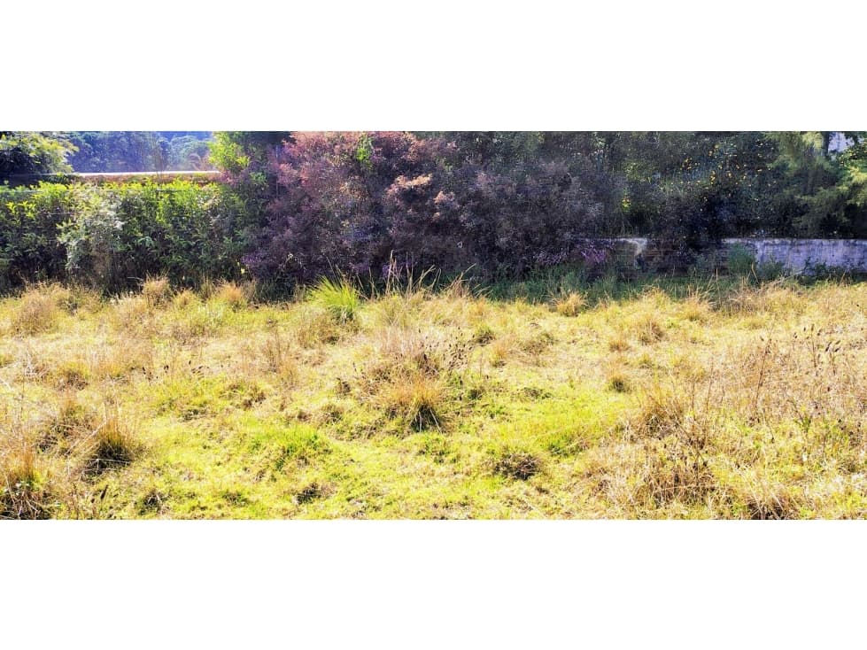LOTE/TERRENO /ACATITLAN — foto 3