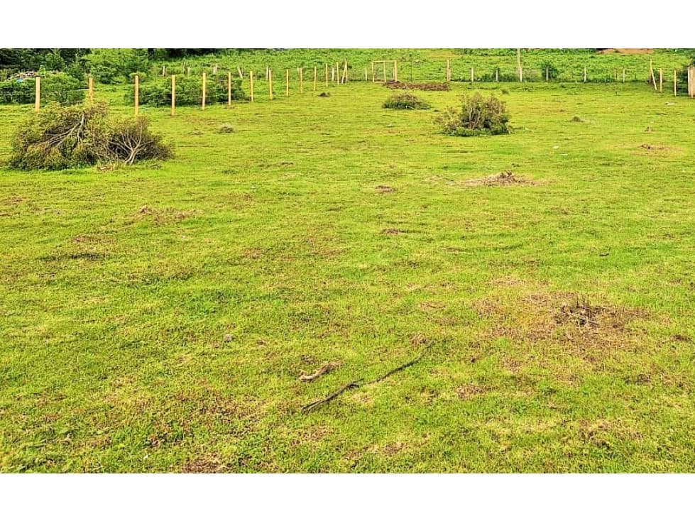 TERRENO EN VENTA ,MESA RICA, VALLE DE BRAVO — foto 6