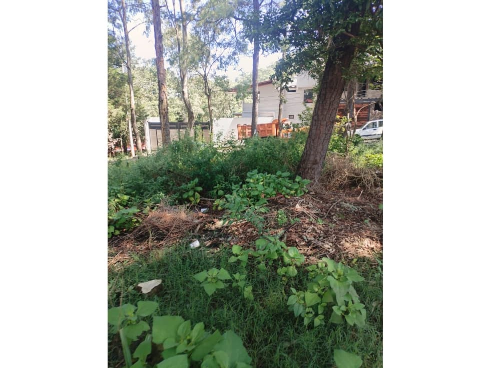 TERRENO EN VENTA | MONTE ALTO — foto 5