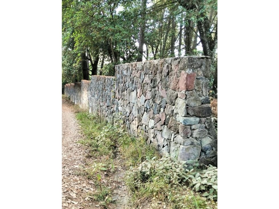 VENTA TERRENO/ AVANDARO — foto 6