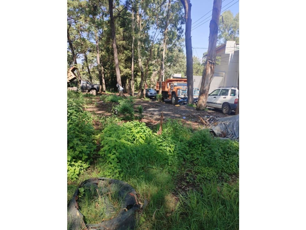TERRENO EN VENTA | MONTE ALTO — foto 6