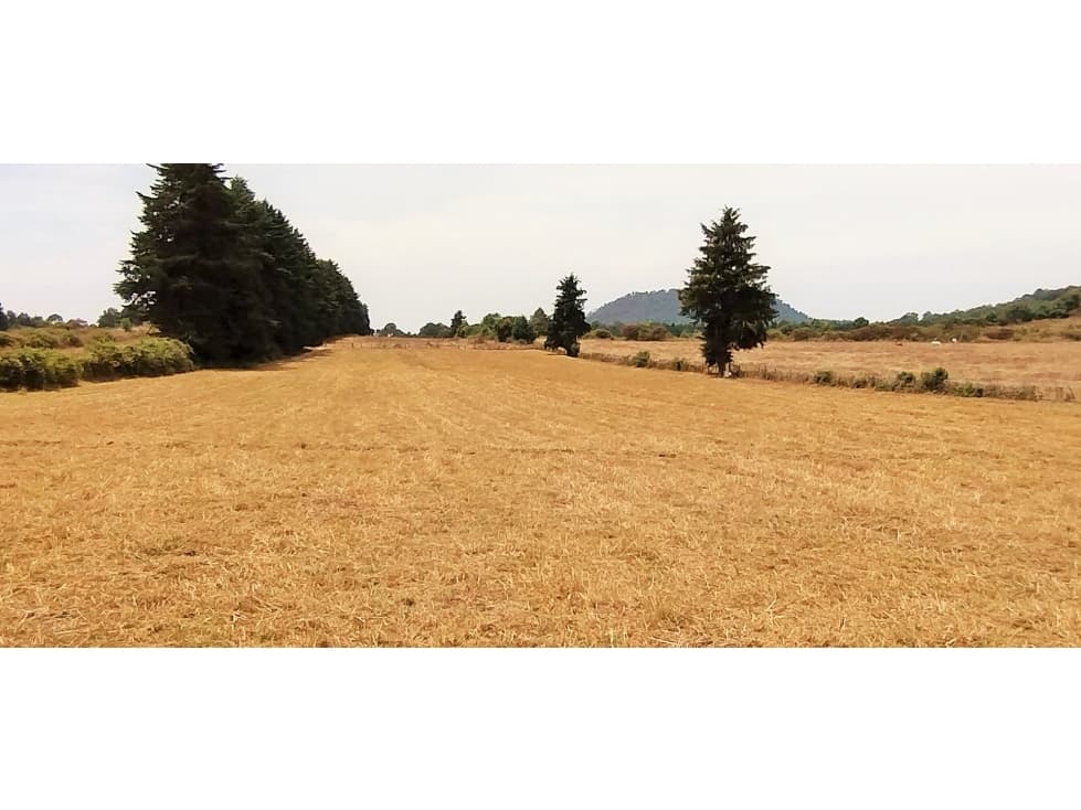 TERRENO EN VENTA / EL MANZANO /CERRO GORDO — foto 1