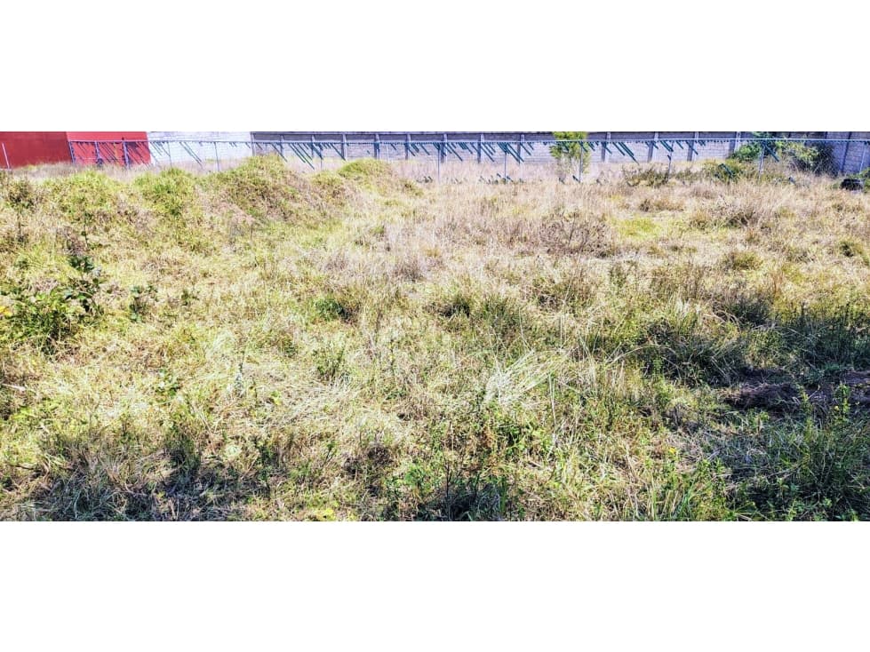 LOTE/TERRENO /ACATITLAN — foto 4