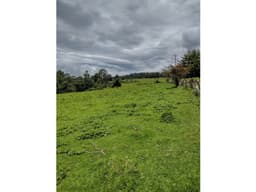 TERRENO EN VENTA/EL MANZANO/CERRO GORDO