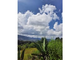 Terreno en Venta en Omitlan de Juárez (entero o por fracciones)