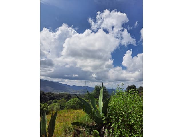 Terreno en Venta en Omitlan de Juárez (entero o por fracciones)