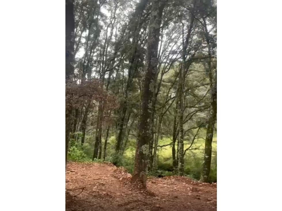 Terreno en Omitlan de Juárez — foto 3
