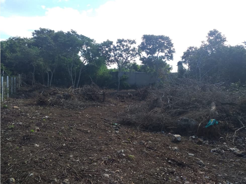 excelente terreno en sitpach, Yucatán — foto 2