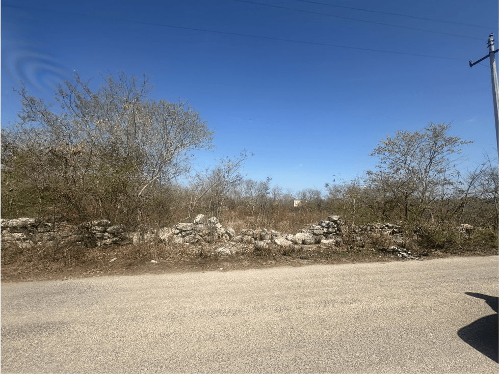 TERRENO EN DZITYA — foto 3