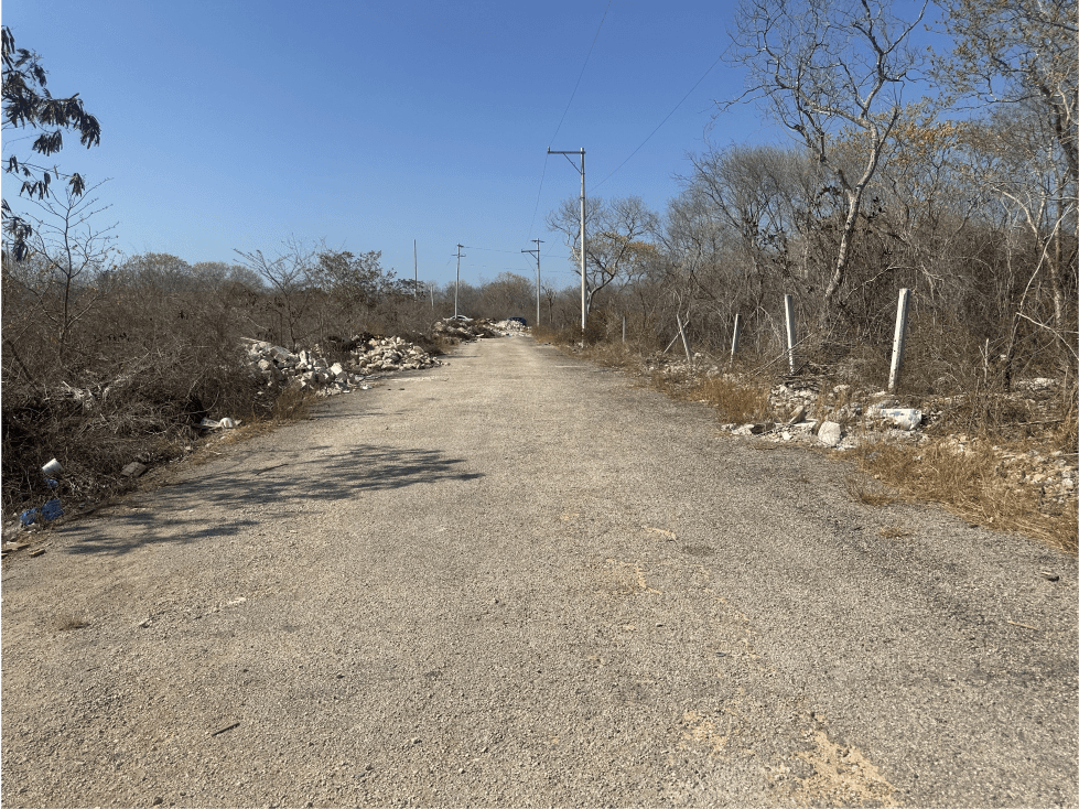 TERRENO EN DZITYA — foto 4