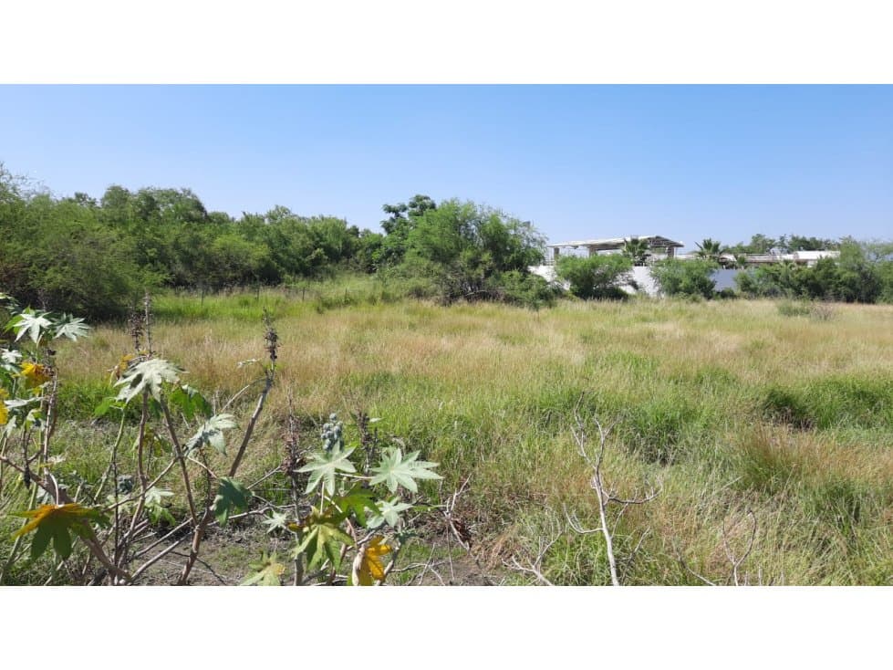 VENTA DE TERRENO EN JUAREZ, N.L. — foto 4