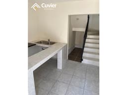 DR2850-JG DEPARTAMENTO EN RENTA, COL. CASTORES