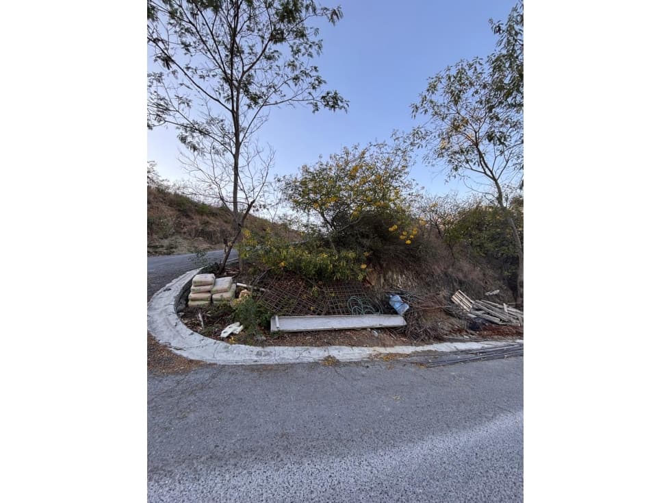TERRENO EN VENTA RESIDENCIAL PALMARES OPORTUNIDAD hz — foto 6