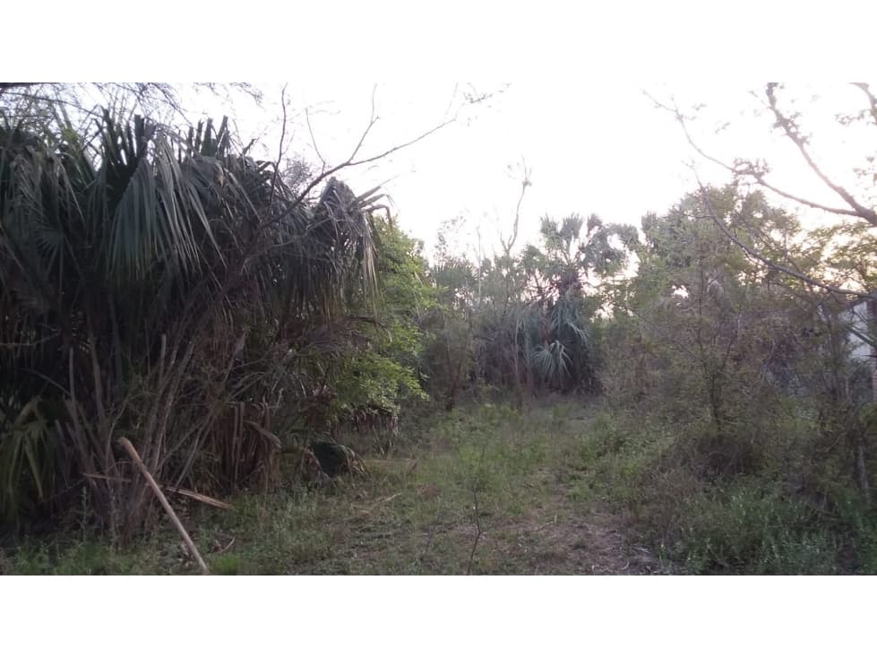 Terreno en Venta El Saucito, Cadereyta — foto 3