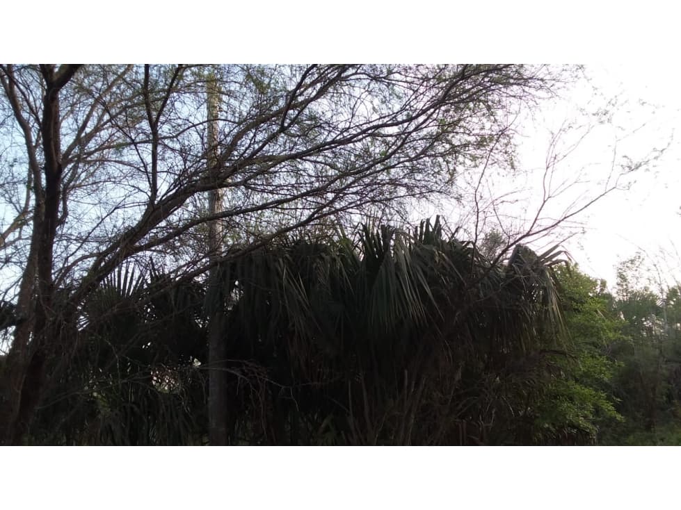 Terreno en Venta El Saucito, Cadereyta — foto 6