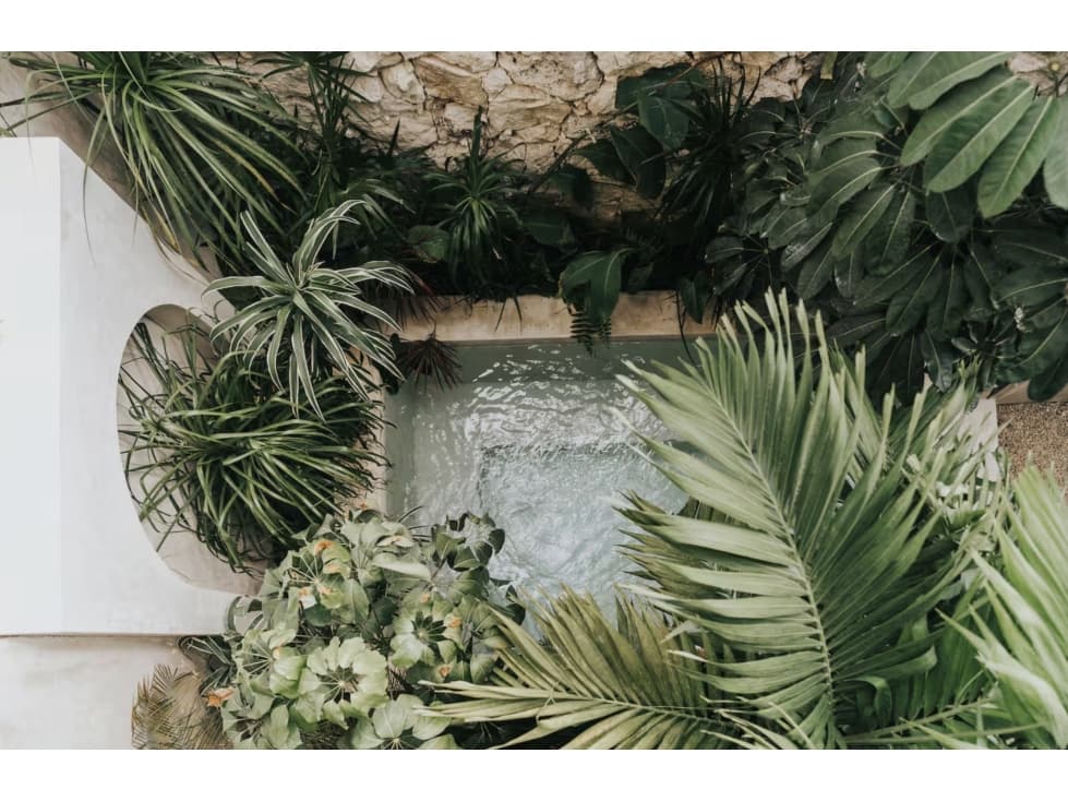 Designer 2-Bedroom Apartment with Private Pool in Tulum — foto 5