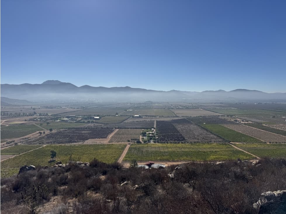 VENTA DE 9 HECTÁREAS EN VALLE DE GUADALUPE ENSENADA — foto 2