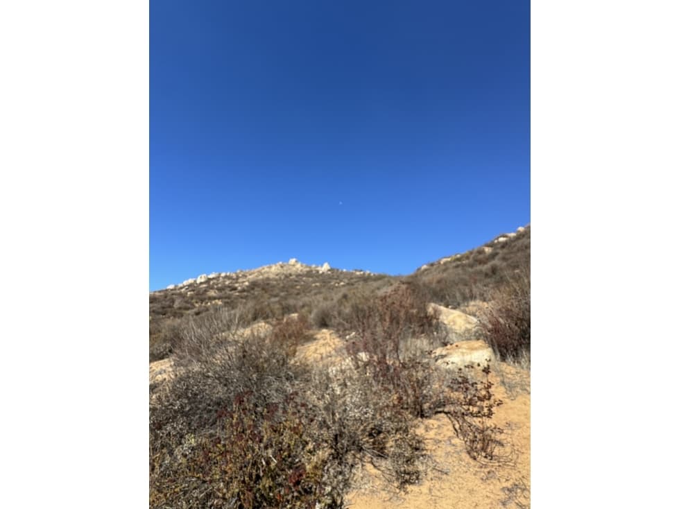VENTA DE 9 HECTÁREAS EN VALLE DE GUADALUPE ENSENADA — foto 3