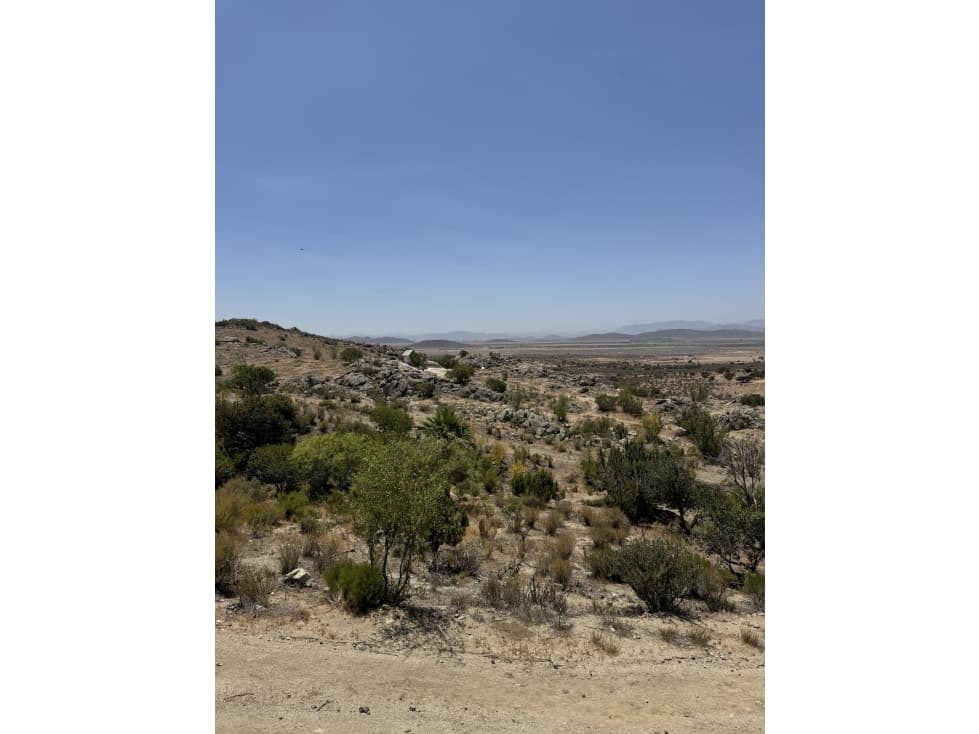 VENTA DE 85 HECTÁREAS CON AGUA EN OJOS NEGROS ENSENADA — foto 5