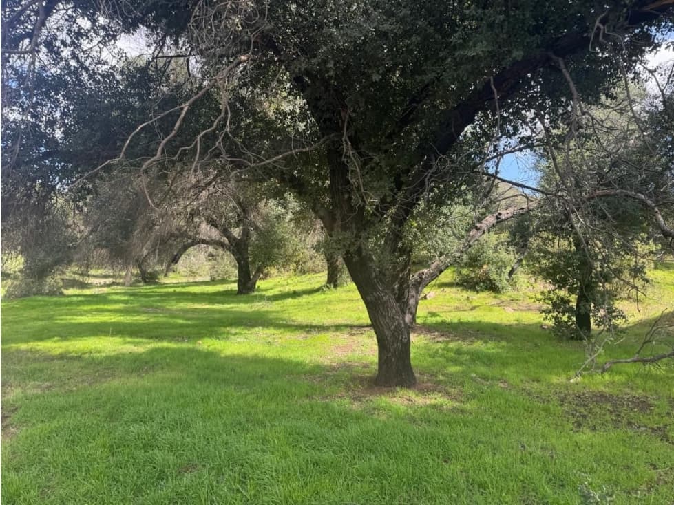TERRENOS FINANCIADOS DE 2,500 M2 EN VALLE GUADALUPE — foto 6