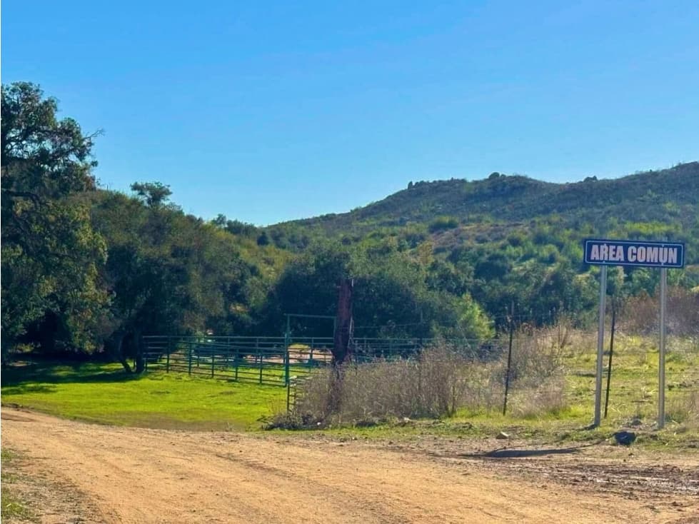 TERRENOS DE 5,000 M2 A PIE DE CARRETERA EN VALLE GUADALUPE — foto 6