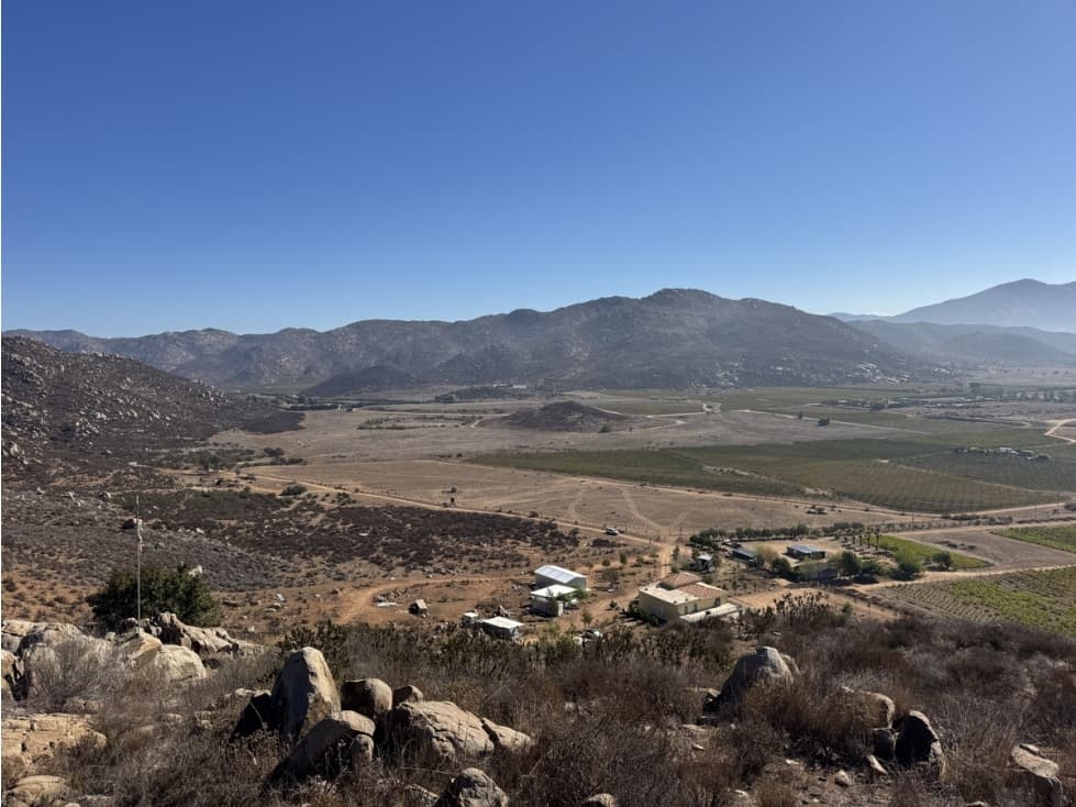 VENTA DE 9 HECTÁREAS EN VALLE DE GUADALUPE ENSENADA — foto 6