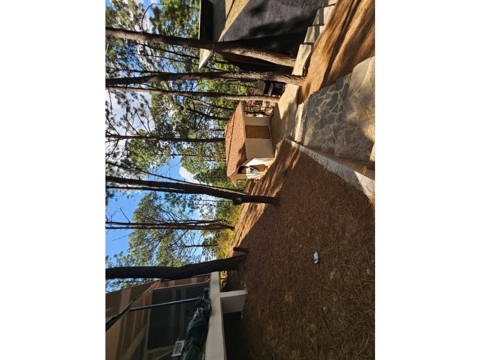 Conjunto de 4 cabañas en venta independientes + 1 cabaña chalet — foto 6