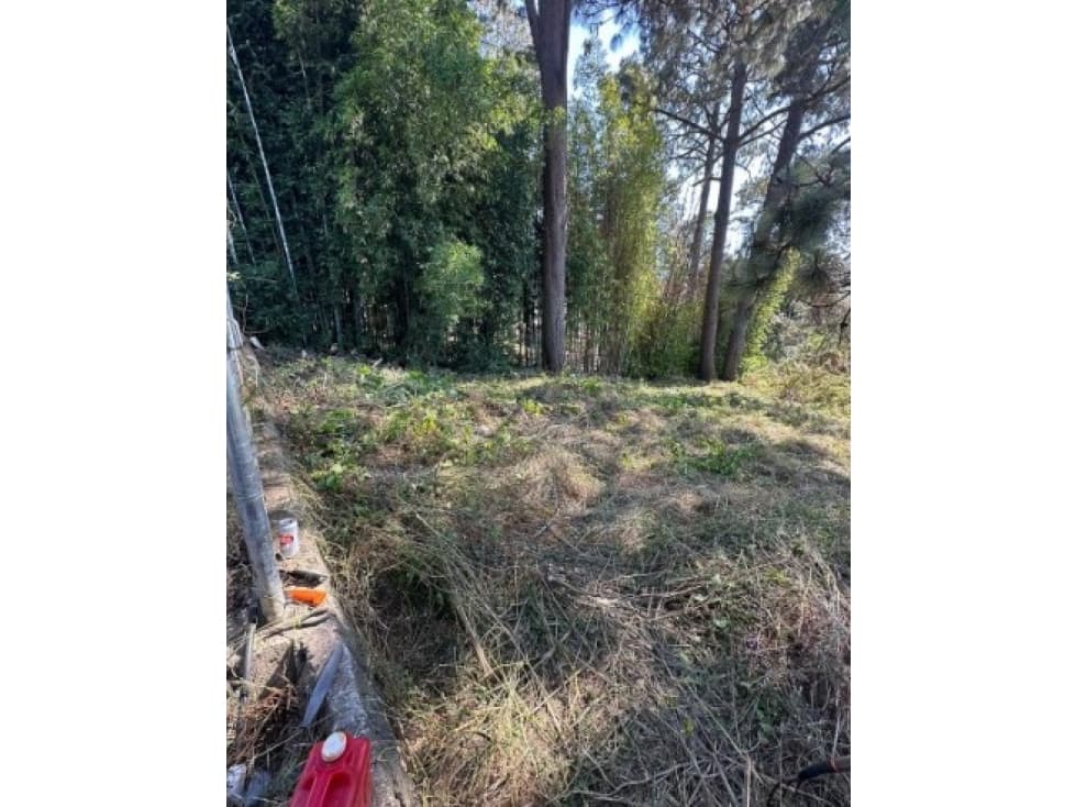 VALLE DE BRAVO. TERRENO EN VENTA (1986) — foto 5