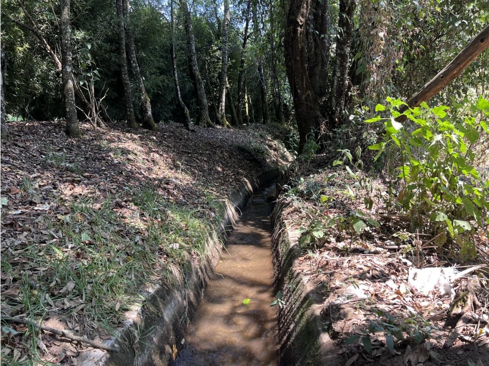 TERRENO EN VENTA SAN RAMÓN CON AGUA DE RIEGO — foto 4