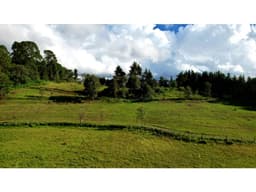 LOTE EN VENTA EN EL CASTELLANO