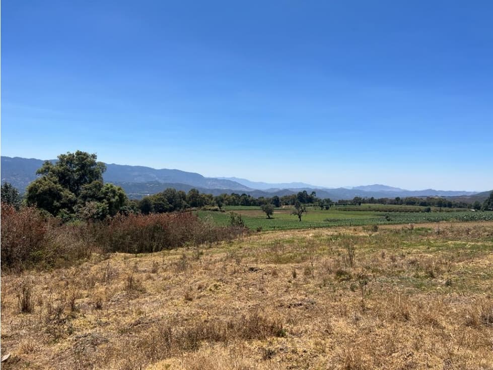 TERRENO 16 HECTÁREAS, MESA DE DOLORES, VALLE DE BRAVO — foto 2