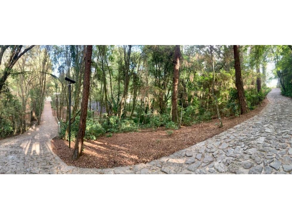 TERRENO EN VENTA, "LAS GOLONDRINAS" — foto 1